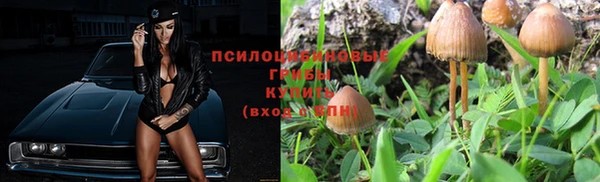 а пвп мука Белокуриха