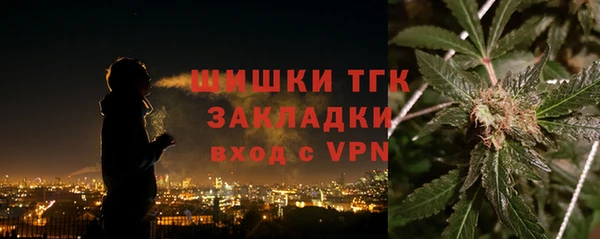 PSILOCYBIN Беломорск
