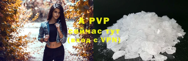 PSILOCYBIN Беломорск